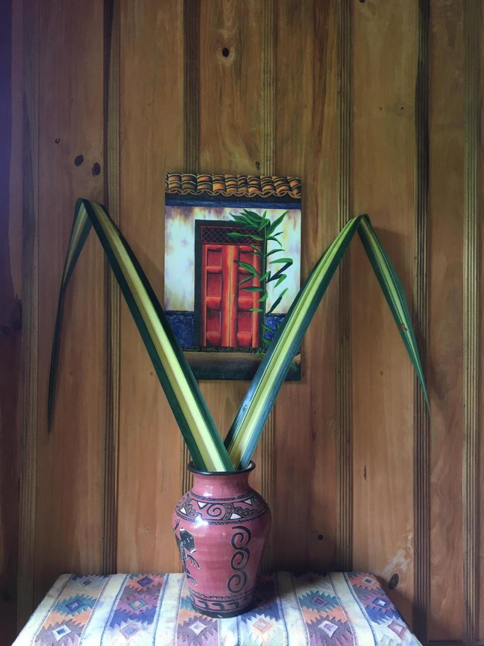 Bed & Breakfast Birds & Breakfast Costa Rica La Tigra (San Carlos)