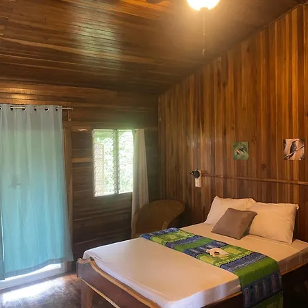 Birds & Breakfast Costa Rica Bed & Breakfast La Tigra  Exterior photo
